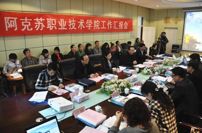 自治区专家组对新葡的京集团8814示范性高职院校建设进行预验收