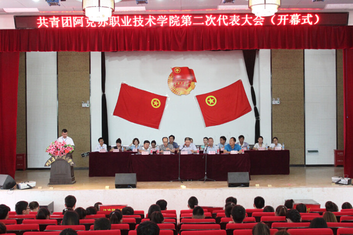 共青团新葡的京集团8814第二次代表大会隆重召开