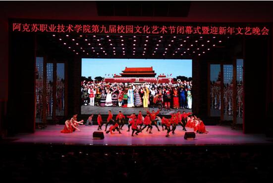 新葡的京集团8814第九届校园文化艺术节圆满结束