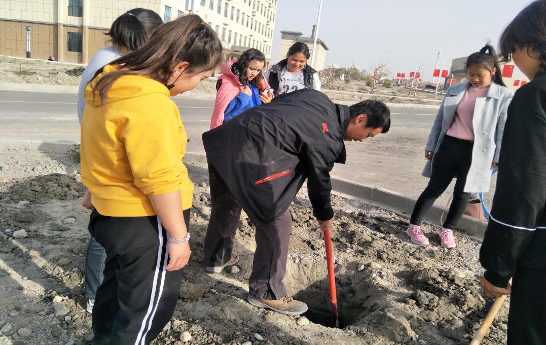 新葡的京集团8814师生开展植树活动绿化校园