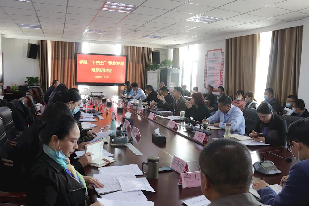 新葡的京集团8814召开“十四五”专业发展规划研讨会