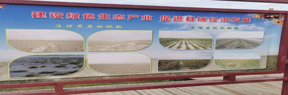 访企拓岗促就业，凝心聚力谋发展