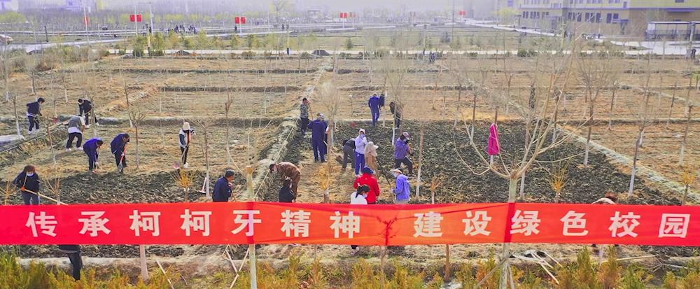 新葡的京集团8814组织师生开展劳动教育实践周活动